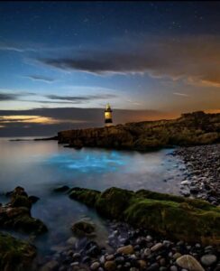 The Story of Trwyn Du Lighthouse