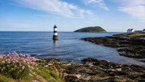 A Simple Guide to Puffin Island From Penmon Point